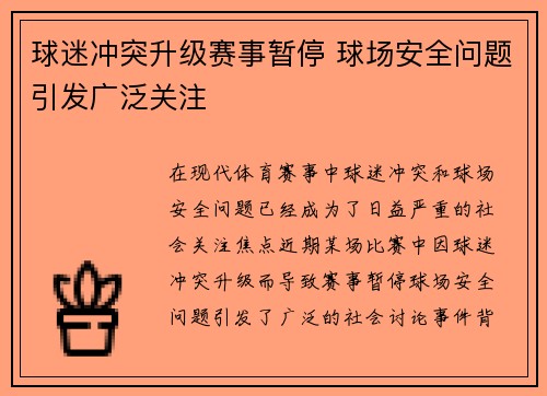 球迷冲突升级赛事暂停 球场安全问题引发广泛关注
